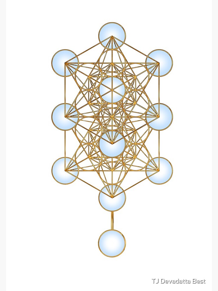 Metatrons Cube/ Tree Of Life Sacred Geometry Shirt