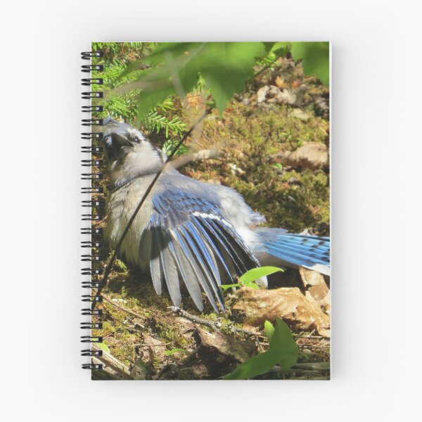 Item preview, SUNBATHING BLUEJAY designed and sold by Monica-Stroud.