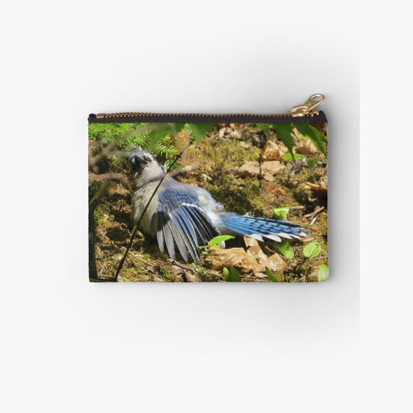 Item preview, SUNBATHING BLUEJAY designed and sold by Monica-Stroud.