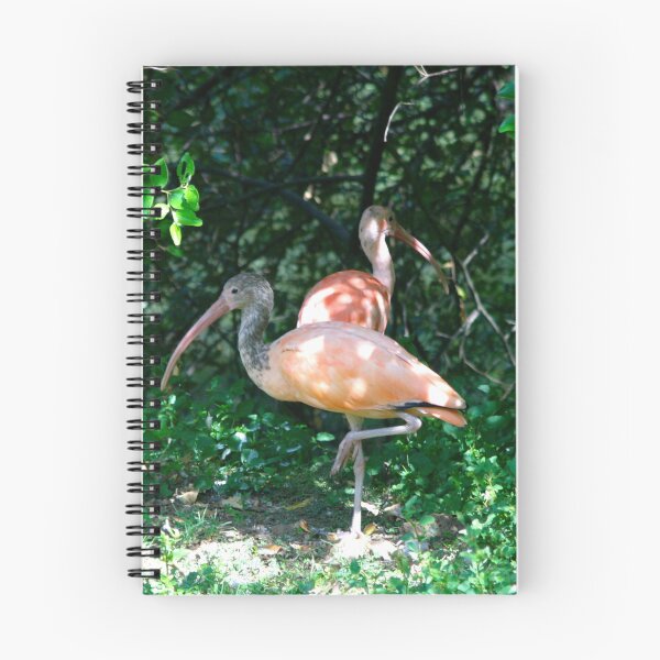 Item preview, Large Bird designed and sold by Totallyalive.