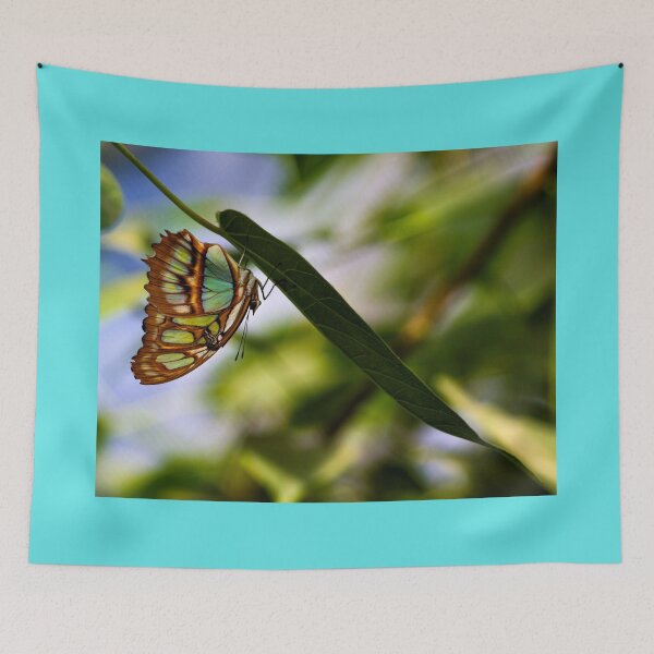 Item preview, Dando vueltas designed and sold by Sandra Moore.