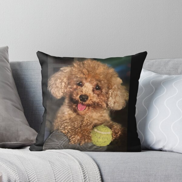 Item preview, Raffie with his fave ball designed and sold by Roz McQuillan Fine Art & Photography.
