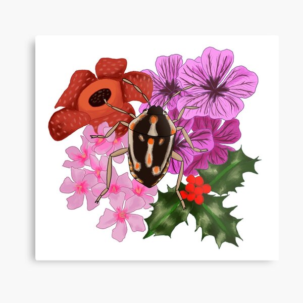 Nidore Metal Print