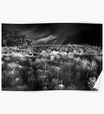 The Meeting of Mare's Tails BW Poster