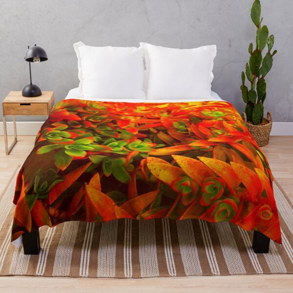 Item preview, Flaming Campfire Crassula Succulent Photography designed and sold by bexilla.