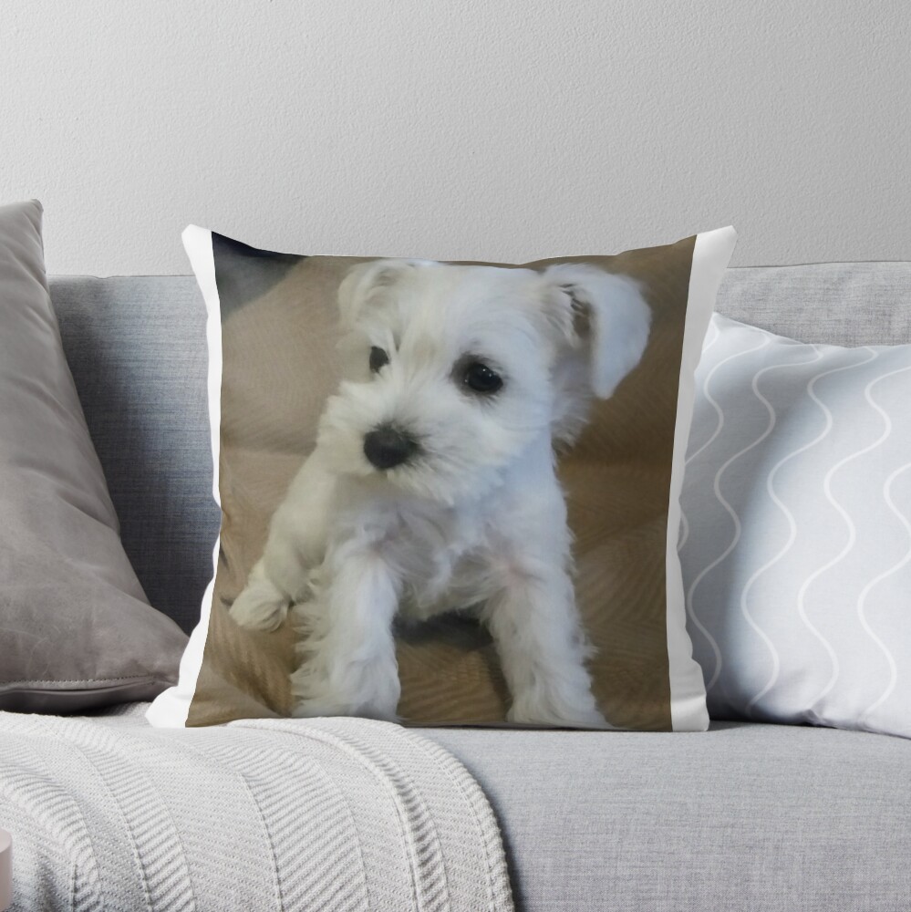 https://ih1.redbubble.net/image.817073187.4384/throwpillow,small,1000x-bg,f8f8f8-c,0,200,1000,1000.u2.jpg