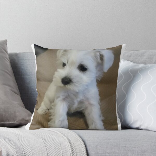 Item preview, White Schnauzer Puppy designed and sold by Photos67.