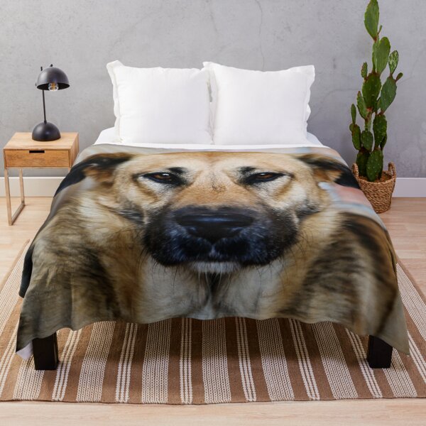 Item preview, Dog, street dog designed and sold by laura-S.