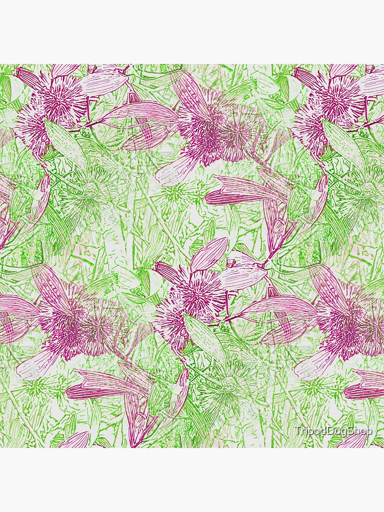 Hakea, Pink and Green by TripodDogShop