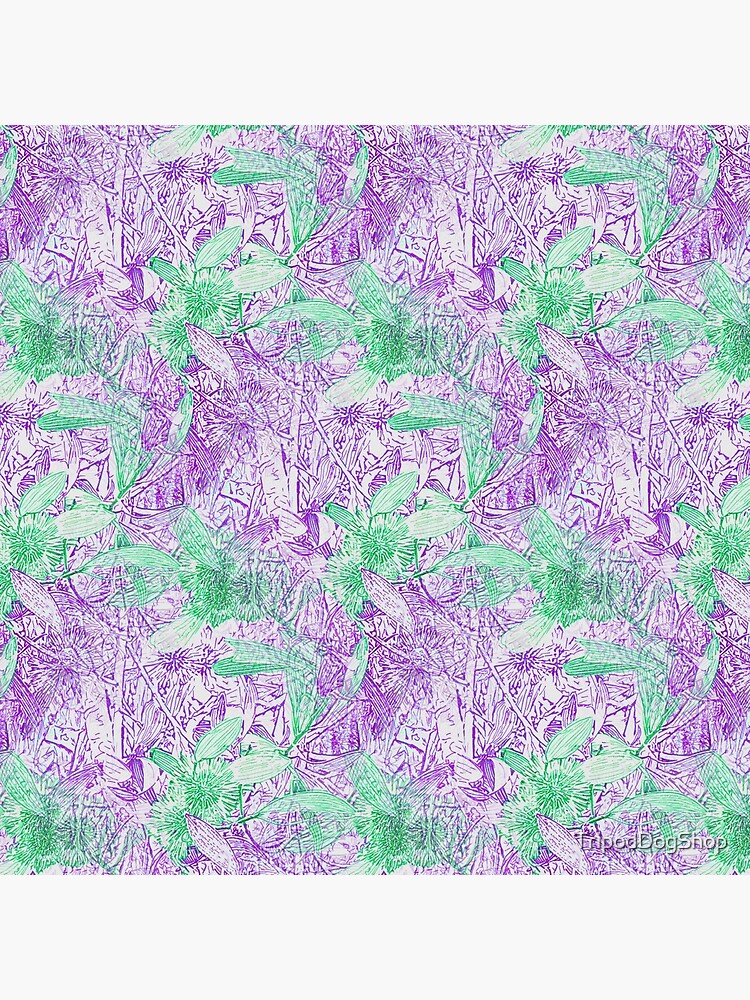 Hakea, Purple and Green by TripodDogShop