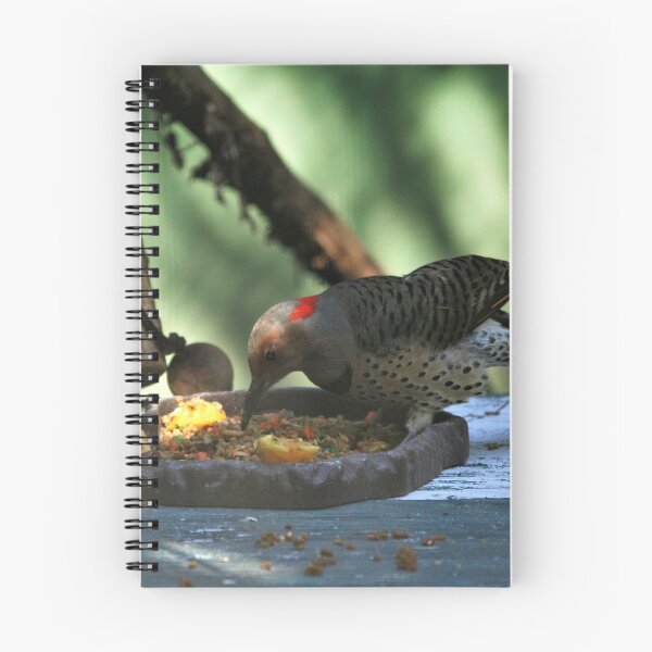 Item preview, Flicker picking seeds designed and sold by WHemporium.