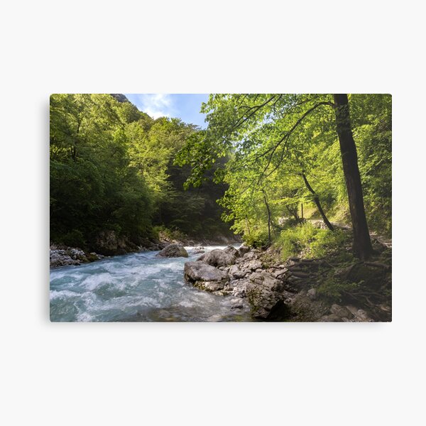 Mountain river in Tolmin national park Metal Print
