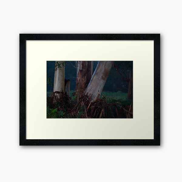 Item preview, the night of the trees designed and sold by Dan A'Vard.