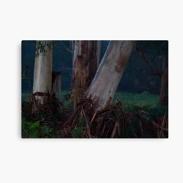 Item preview, the night of the trees designed and sold by Dan A'Vard.
