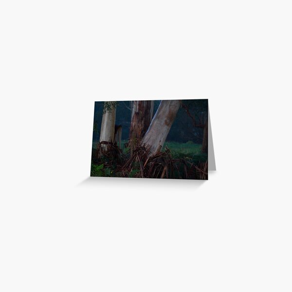 Item preview, the night of the trees designed and sold by Dan A'Vard.