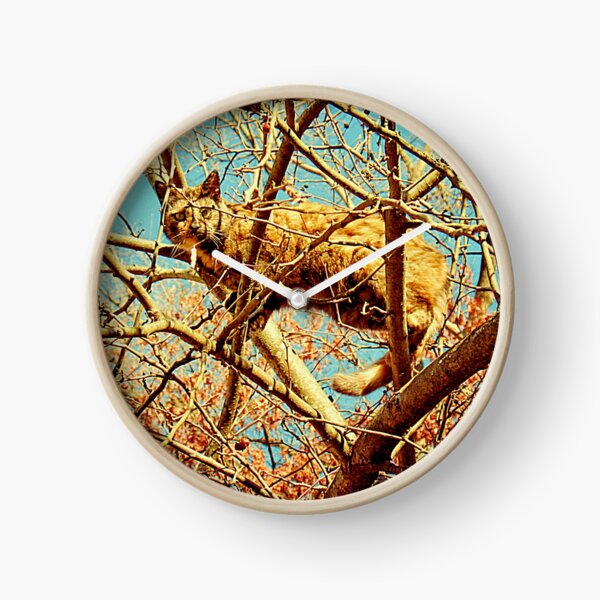 Item preview, "HEAD FOR THE HILLS, quiero decir ... RAMAS," Foto, para impresiones y productos. designed and sold by Bob Hall©.