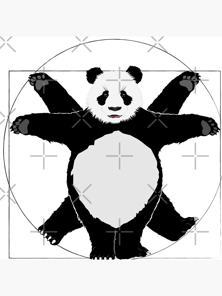 "Vitruvian Panda Bear - Leonardo da Vinci" Poster for Sale by ...