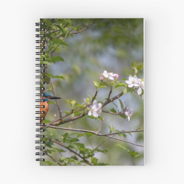 Item preview, kingfisher designed and sold by pietrofoto.