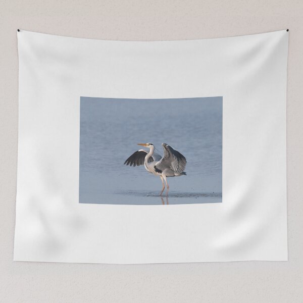 Item preview, Grey heron designed and sold by pietrofoto.