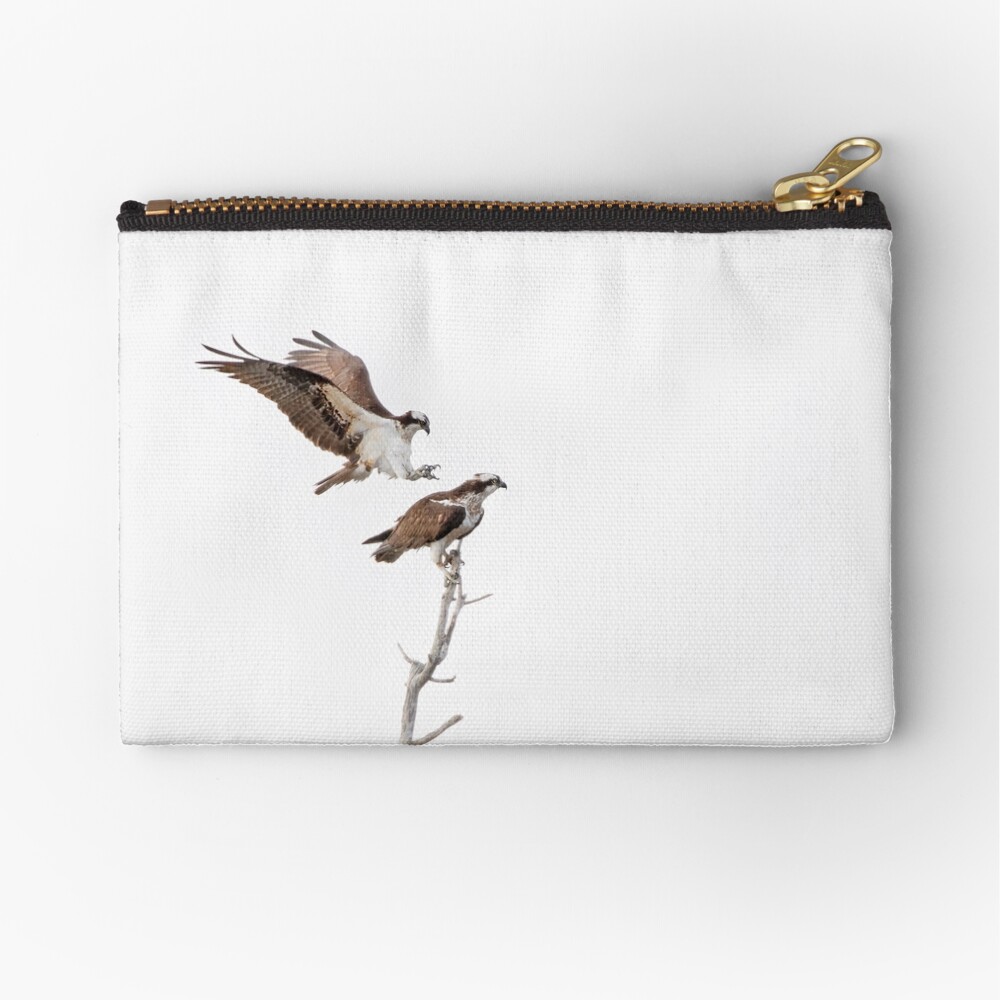 osprey butterfly purse