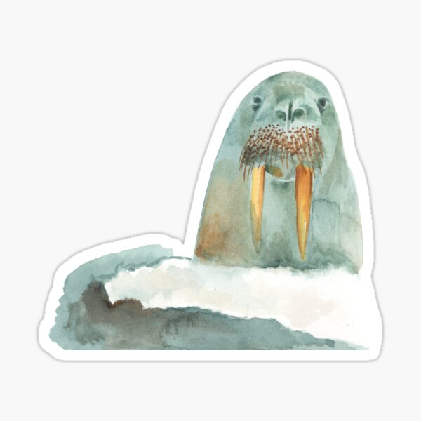 Item preview, Walrus designed and sold by Thalia Roman.