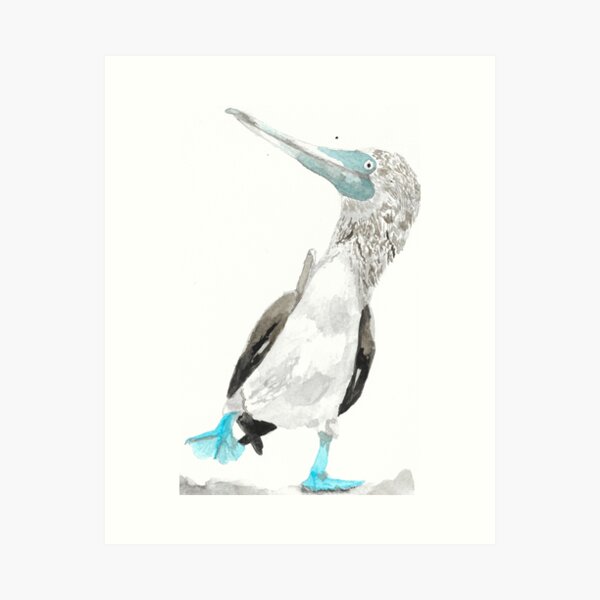 Nice Boobies Funny Blue Footed Booby Bird Gift Art Print by Qwerty Designs