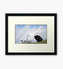 WILD HORSES Framed Print