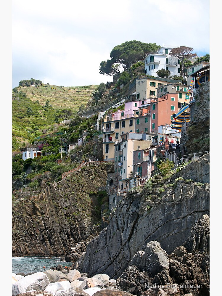 "Cinque Terre Homes" Poster for Sale by rippelmeyer Redbubble