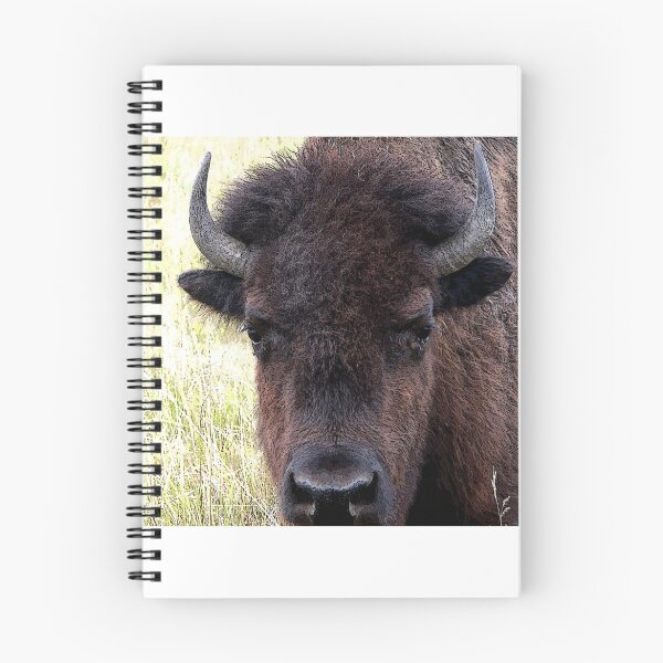 Item preview, FATHER BISON designed and sold by Larry Trupp.