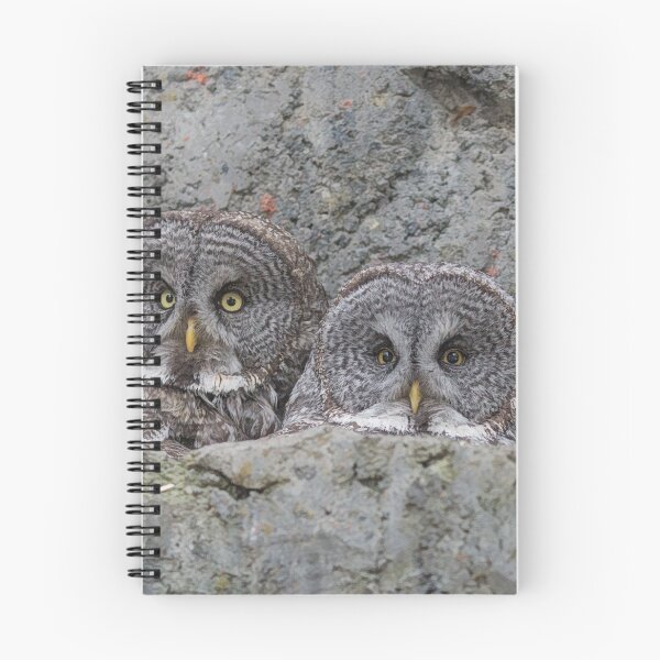 Item preview, Family Time designed and sold by Sylvia Labelle.