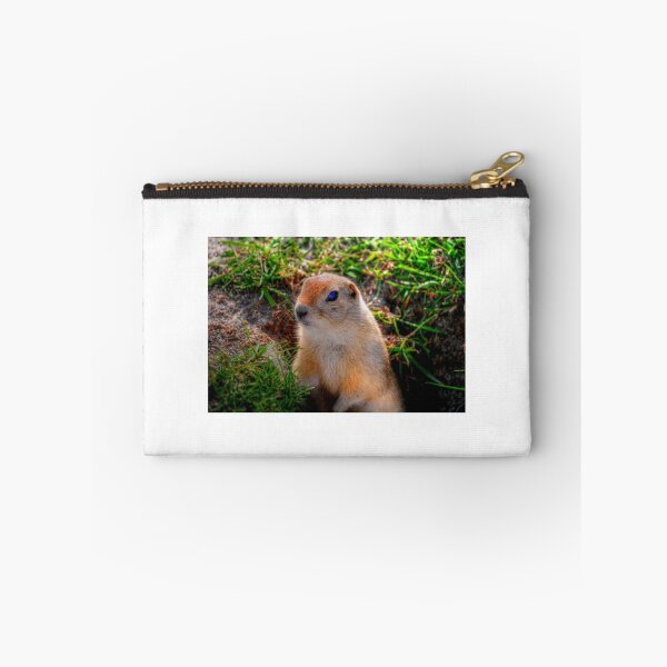 Item preview, RICHARDSON GROUND SQUIRREL designed and sold by Larry Trupp.