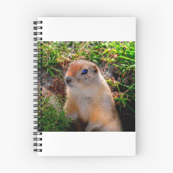 Item preview, RICHARDSON GROUND SQUIRREL designed and sold by Larry Trupp.