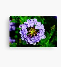 purple Canvas Print