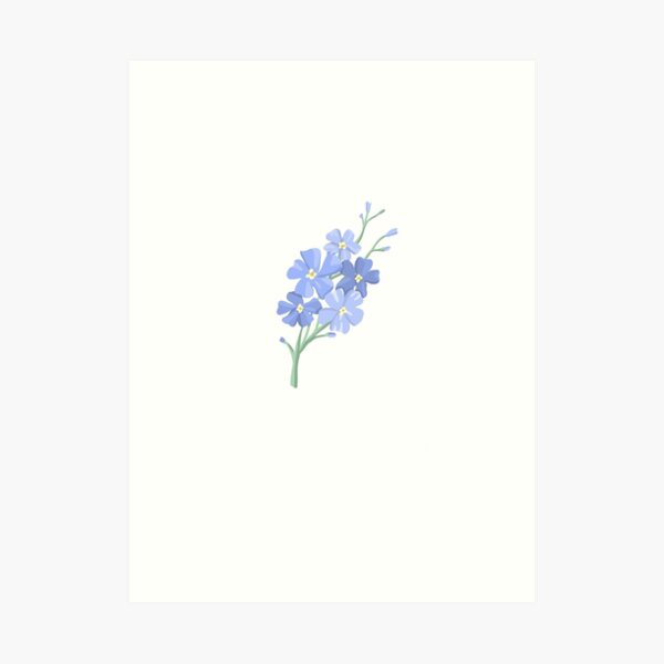 Forget Me Not Flowers, Wall Art Print, Forget Me Not Watercolor Flowers,  Garden Art Prints, Alaska State Flower, Mothers Day Gift 8x10 -  Denmark