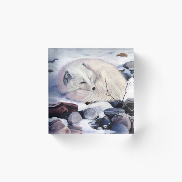 Creature Comforts - arctic fox Acrylic Block