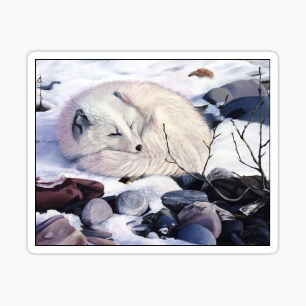 Creature Comforts - arctic fox Sticker
