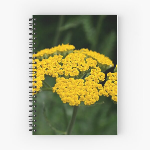 Item preview, Golden Yarrow designed and sold by Scott Mitchell.