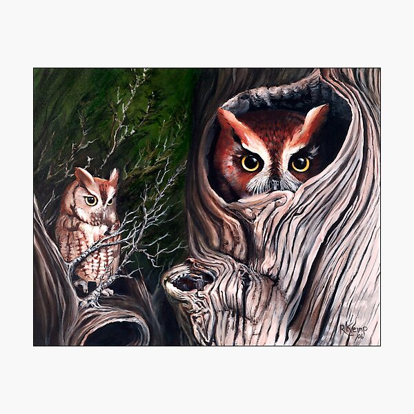 Sentinels - Eastern screech owls Photographic Print