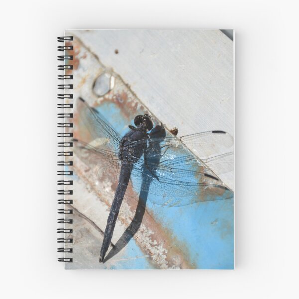 Item preview, Dragonfly on Rusty Boat  designed and sold by SilentJane.