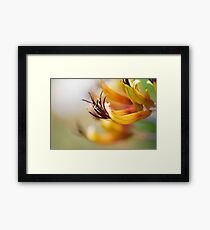 Dreamlike Framed Print