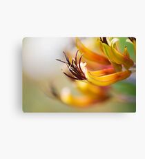 Dreamlike Canvas Print