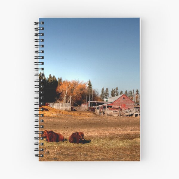 Item preview, Contentment!!! designed and sold by Larry Trupp.