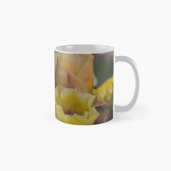 Whisper of Spring Classic Mug