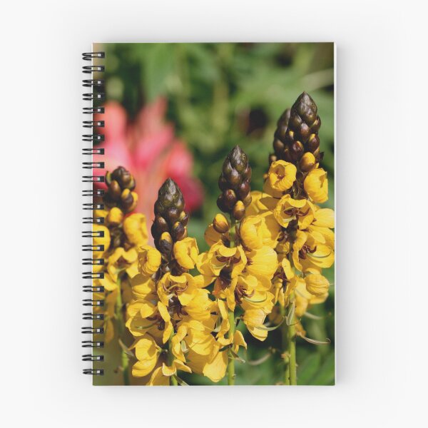 Item preview, Cassia Didymobotrya (Popcorn Cassia) designed and sold by Larry Trupp.