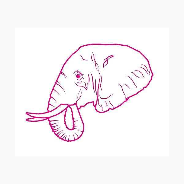 Ornamental Elephant Head. Hand Drawn Illustration For Tattoo Or Print.  Stock Photo, Picture and Royalty Free Image. Image 206580338.