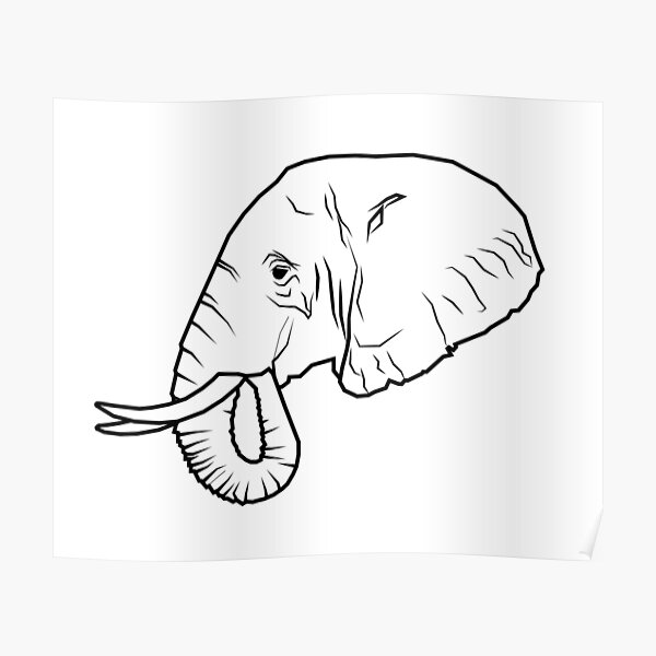 Elephant head drawing outline 02  How to draw Elephant head step by step   Outline drawings  YouTube