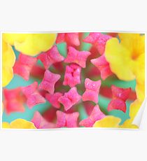 Lolli Shop Poster