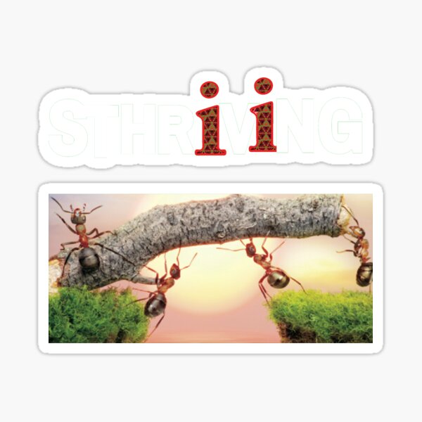 Item preview, Sthriving designed and sold by Ibrahima SAKO.
