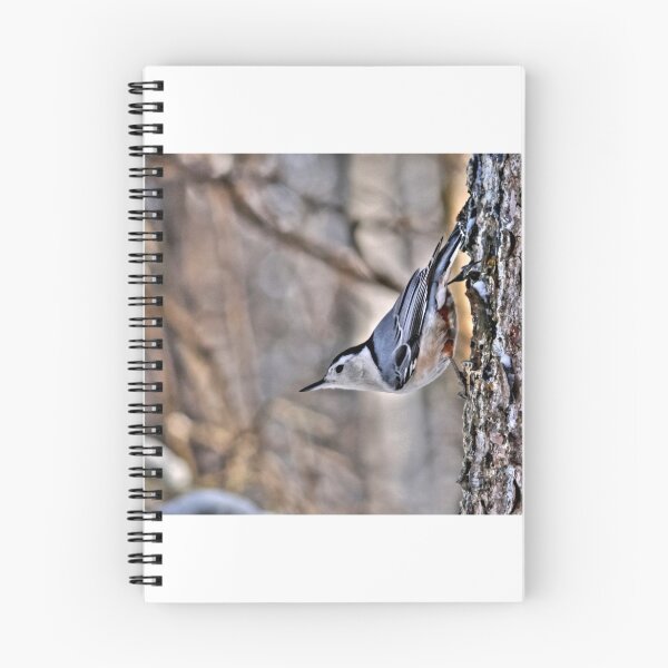Item preview, White Breasted Nuthatch designed and sold by Larry Trupp.