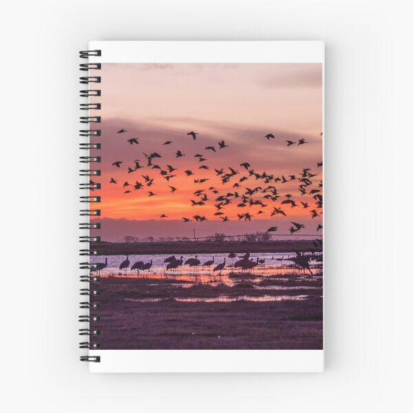 Item preview, Sunrise at San Luis Valley and thousands of Cranes designed and sold by Alla Gill.